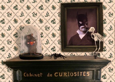 cabinet des curiosités